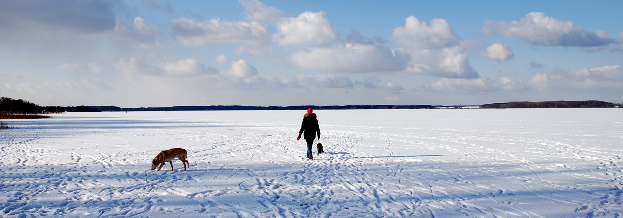 Winter an der Müritz