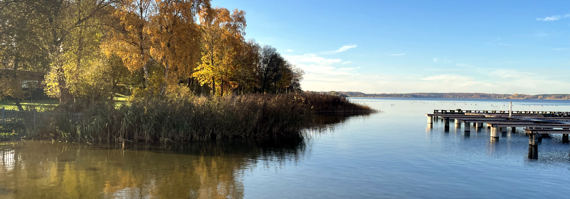 Fleesensee