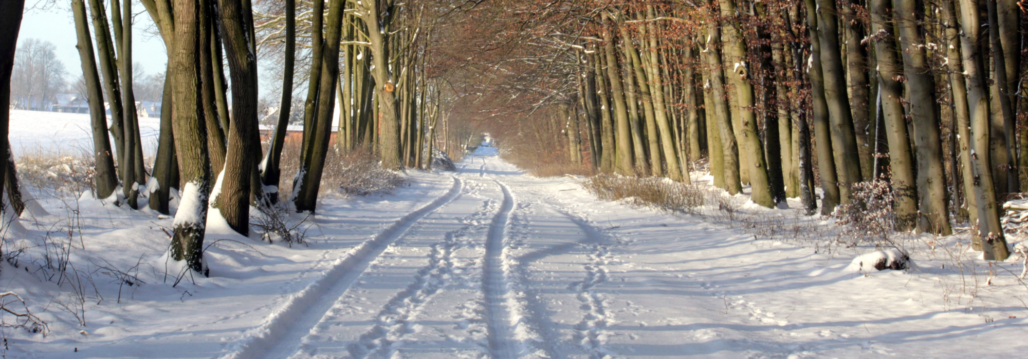 Winter an der Mecklenburgischen Seenplatte